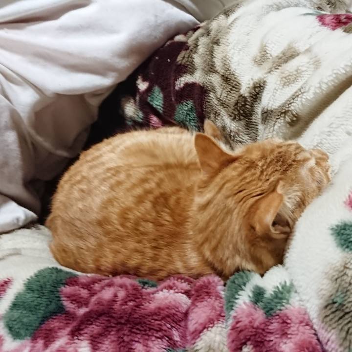 31e556ad 87c2 4edb 8fc3 10f6ec223854 1641992732138