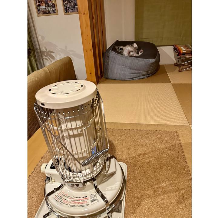 31e55c88 aad9 4d23 80c4 1f6640db5251 1700493059620