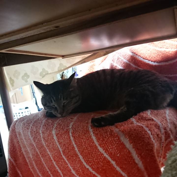 31e56119 f09a 4023 b100 70f0d00646d1 1650318951272