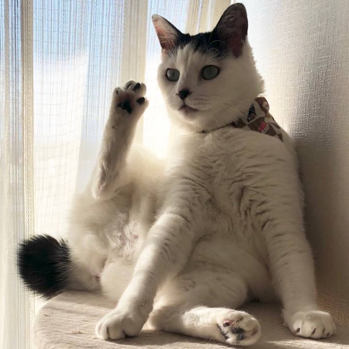 31e56897 1f39 4a16 ba5d ef4c2e1b04a2 1546238496191