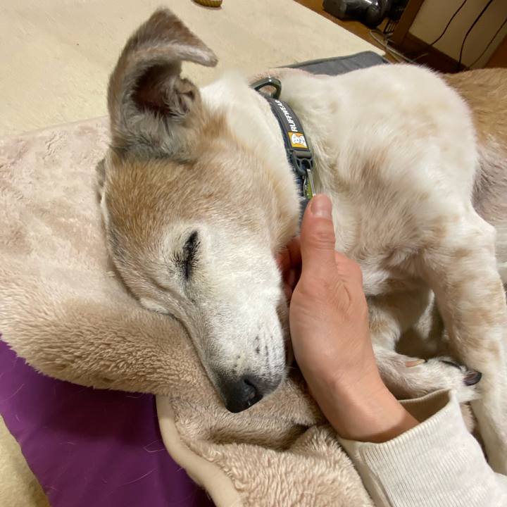 31e57102 d408 4728 8ac8 924ce9c6a945 1680526995017