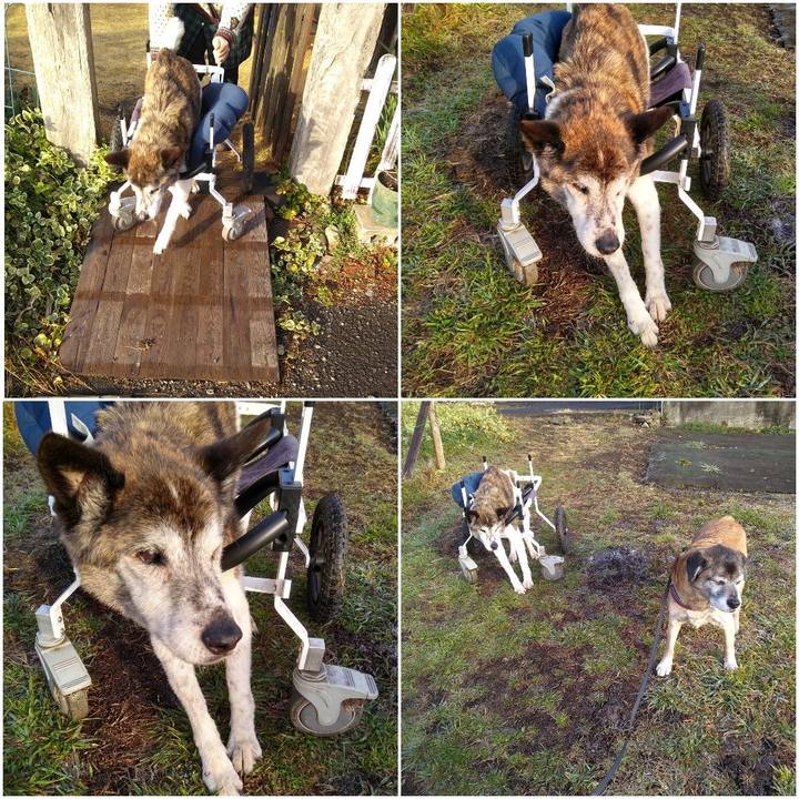 31e5713b 22a8 47d1 9d72 9e4e7eca3a80 1549499861063