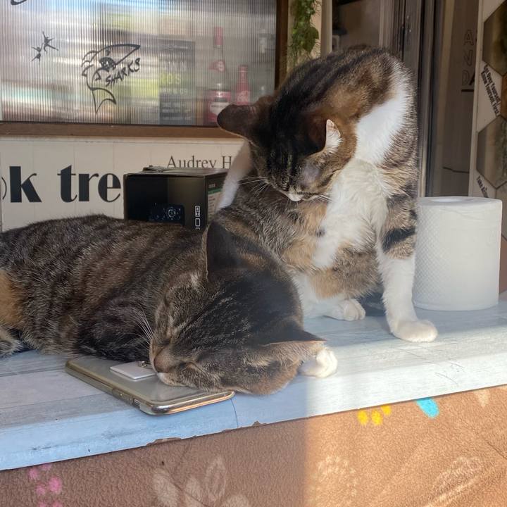 31e5ad3f 9d5f 452d b0a6 b96b7ba11859 1642480707765