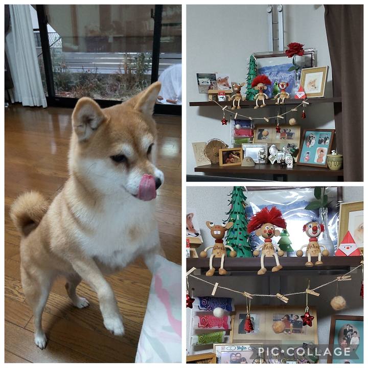 31e5d842 1148 4cae 8b5e 18fd0dcd57c6 1766552149892