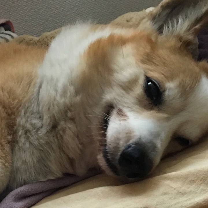 31e5e981 cd96 40e6 8664 603778789d07 1612921057072