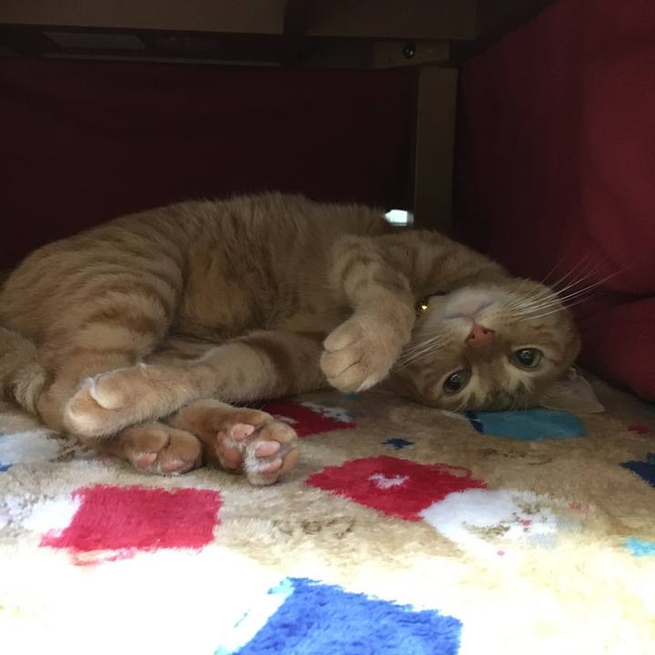 31e6052e 7d52 40cb 86bf 09386207da44 1576634416317