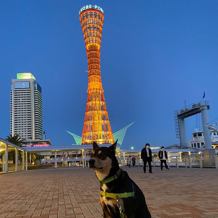 31e63bb8 ba1e 477c a85b 3c5ce8c6fa9b 1613571348356