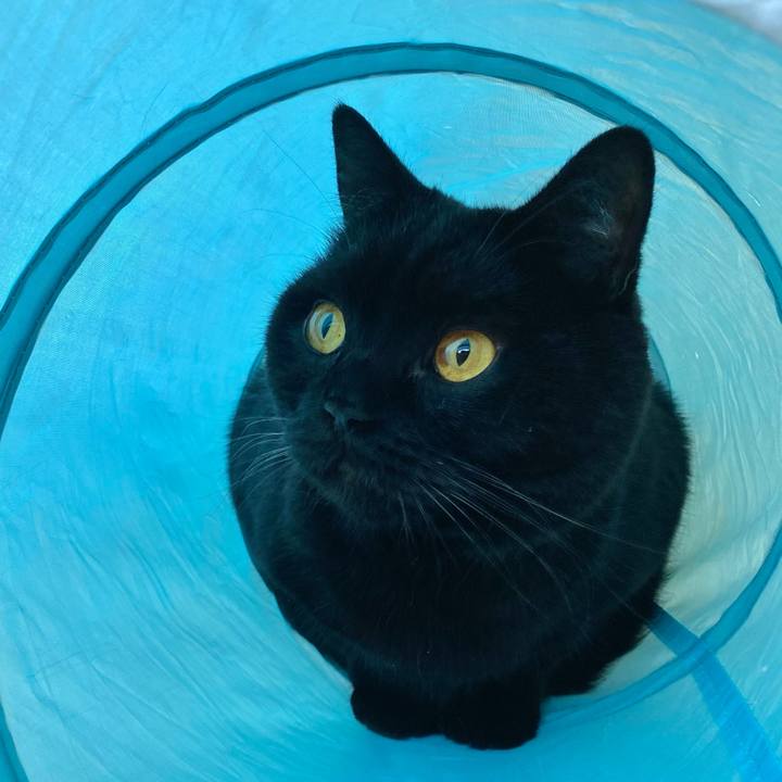 31e6435f f613 4e68 926e 7bf808785913 1639872632747