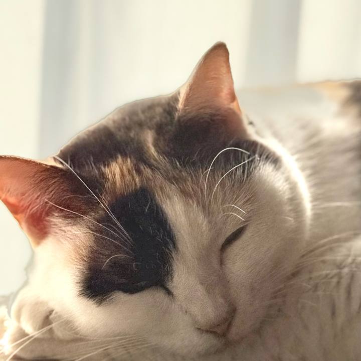 31e65bd3 3024 47de bb40 39c0b12dd2ab 1734138322773