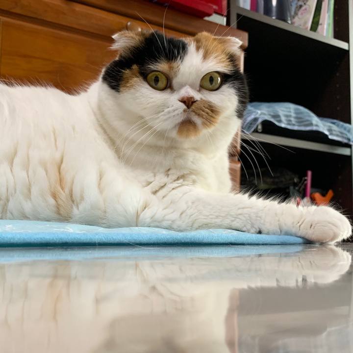 31e6b185 f561 458d a98d 65b43dca83b8 1564005509175