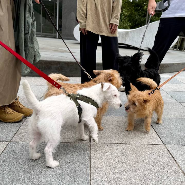 31e6bd17 8660 417e b299 414ec8f9ecb5 1760370646832