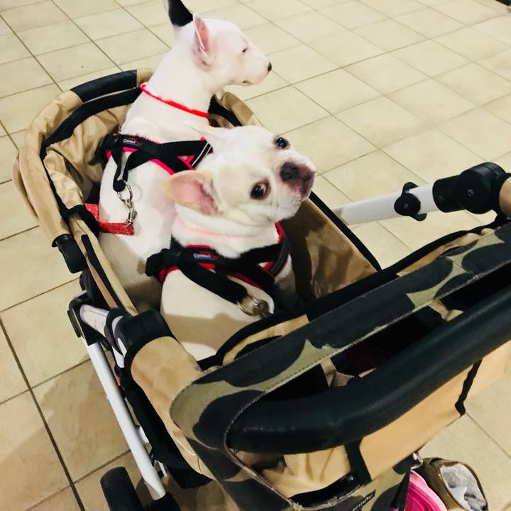 31e6c040 4e14 45ff a265 1fd132338403 1537879852526