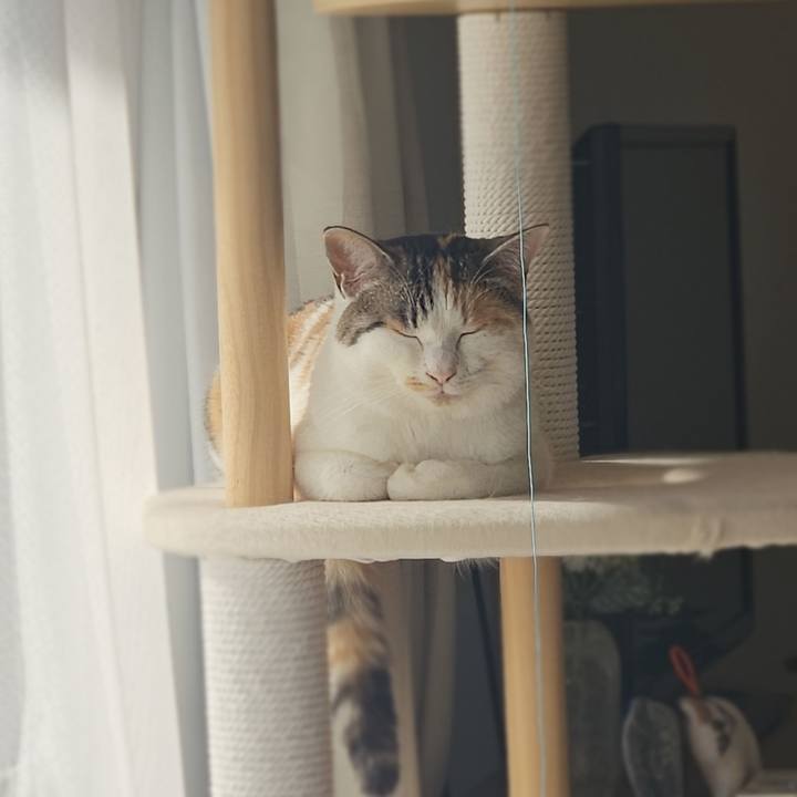 31e6c9ef 1a88 4964 8c75 6dd0f7ebe70e 1771153649499