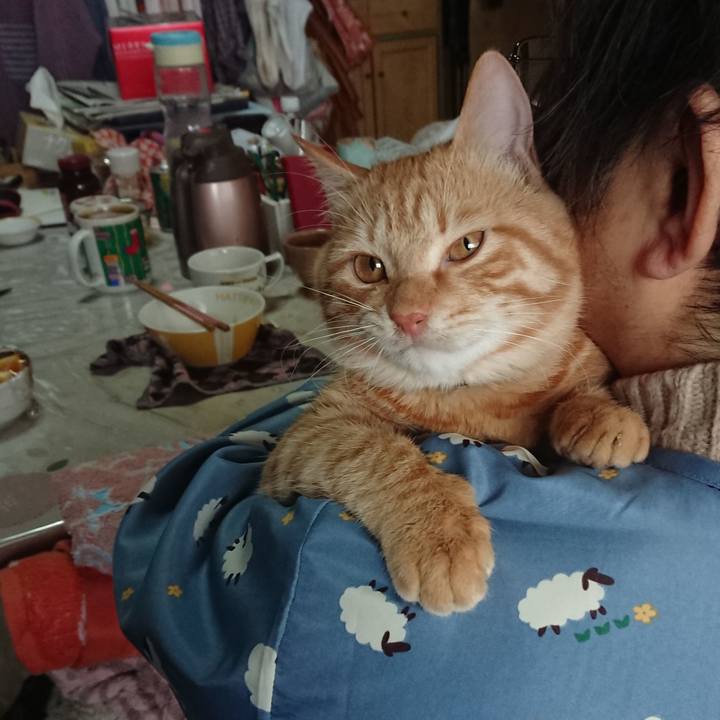 31e6d78b ebb0 4a40 a725 9bfe76c7303a 1640568370496