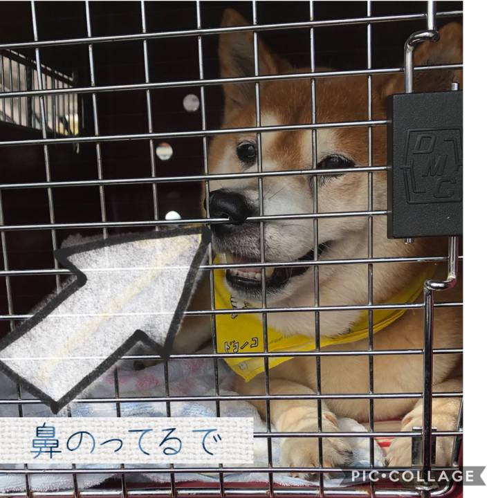 31e6dd39 3649 42bd a3fa 7b7aa38d0a41 1568778037360