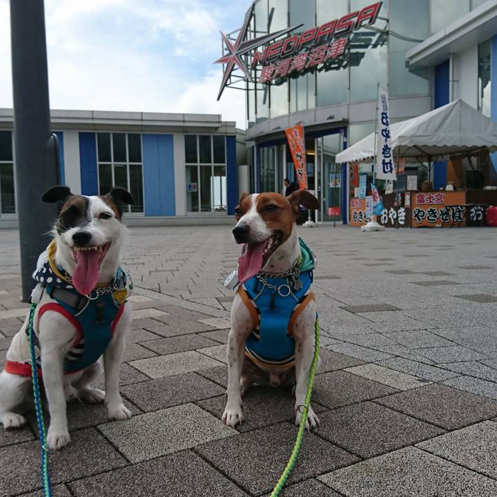 31e6e293 5eb5 4da5 a2f2 ad786300e181 1567216922597