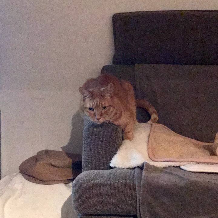 31e71f9b b31e 4522 9661 a068c97496ee 1604198848242