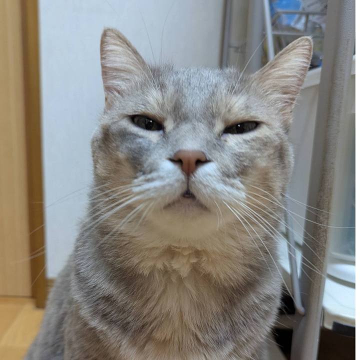 31e72ca6 d0ef 4382 882c ade3a9b87c51 1754985397122