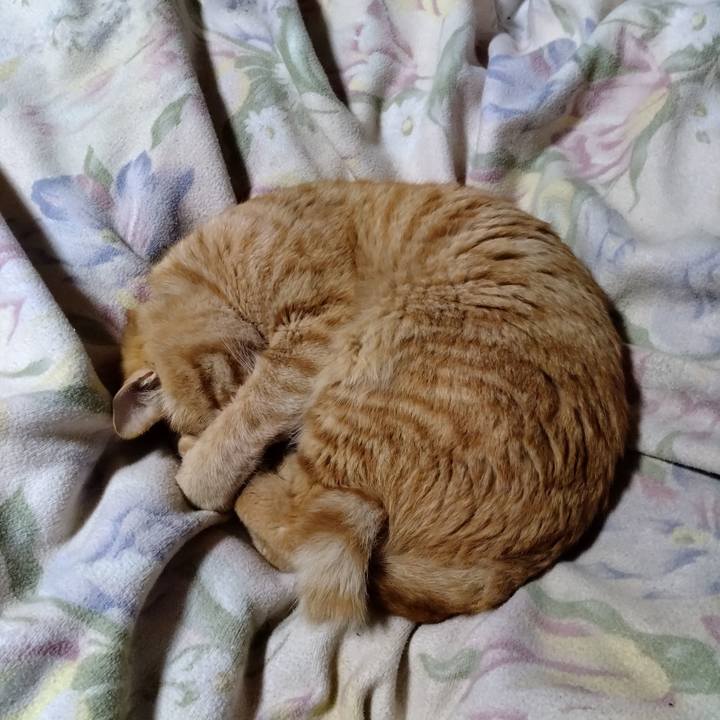 31e77391 27c6 4cdd b19d baea8705c0b6 1678627955935