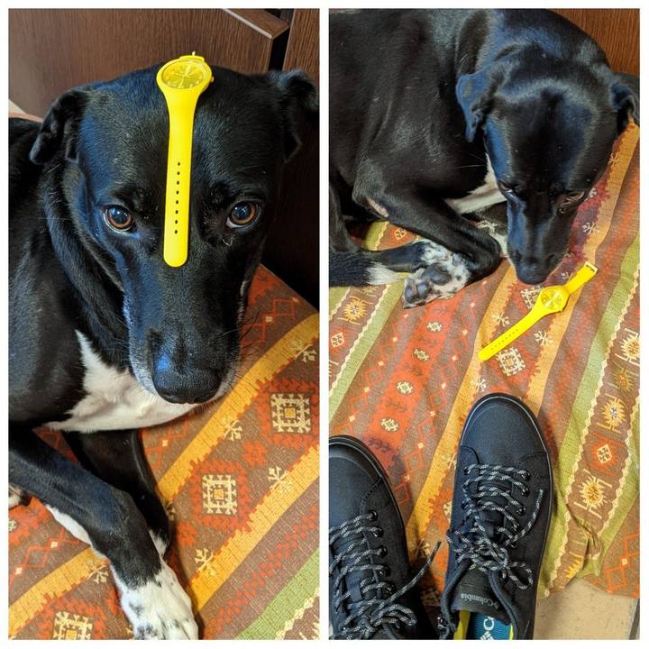 31e77b25 c81c 4cf9 9838 e10f47eec634 1630471958125