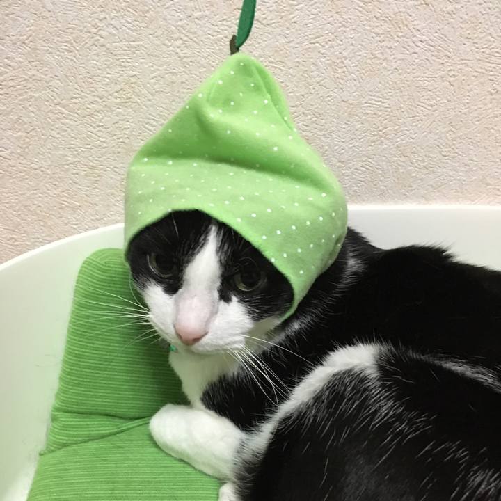 31e7898c 35de 450d 9c31 7f863ded6ef3 1531704918436