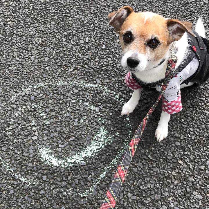 31e7a3b9 34bf 4156 b8f9 6864737c83e9 1575857796193