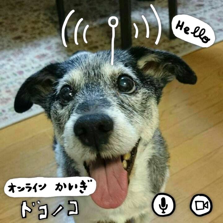 31e7b64c 9885 443d 9ecc a11cc5b310ca 1590762895724