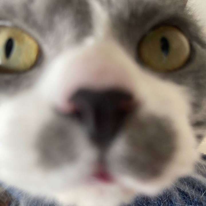 31e7d047 5d83 407a bdf4 bb43a5c87c5c 1741928599015