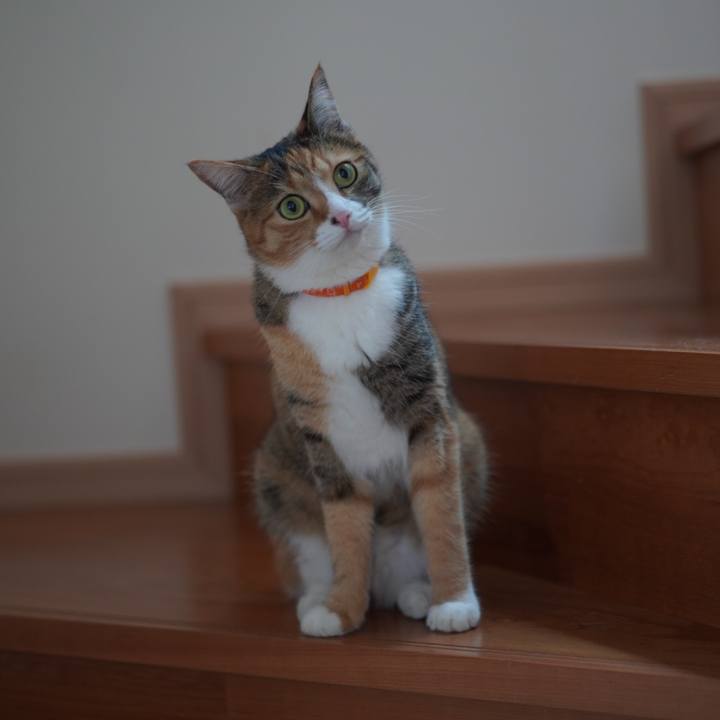 31e7db80 d5fe 4627 be65 e6c529981aa1 1626946580126