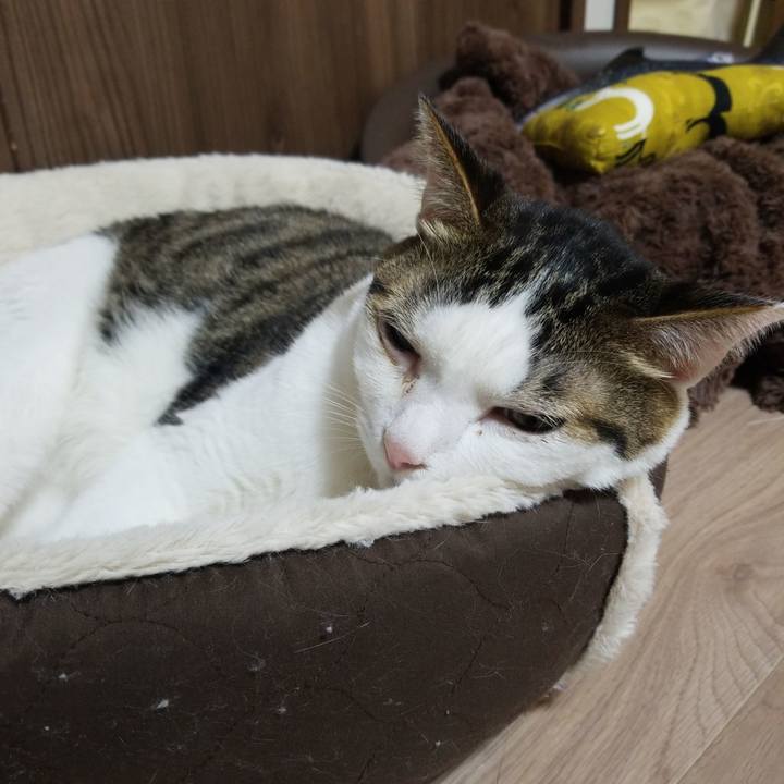 31e7ece2 928f 4666 8044 2dccc94e743f 1582578961695