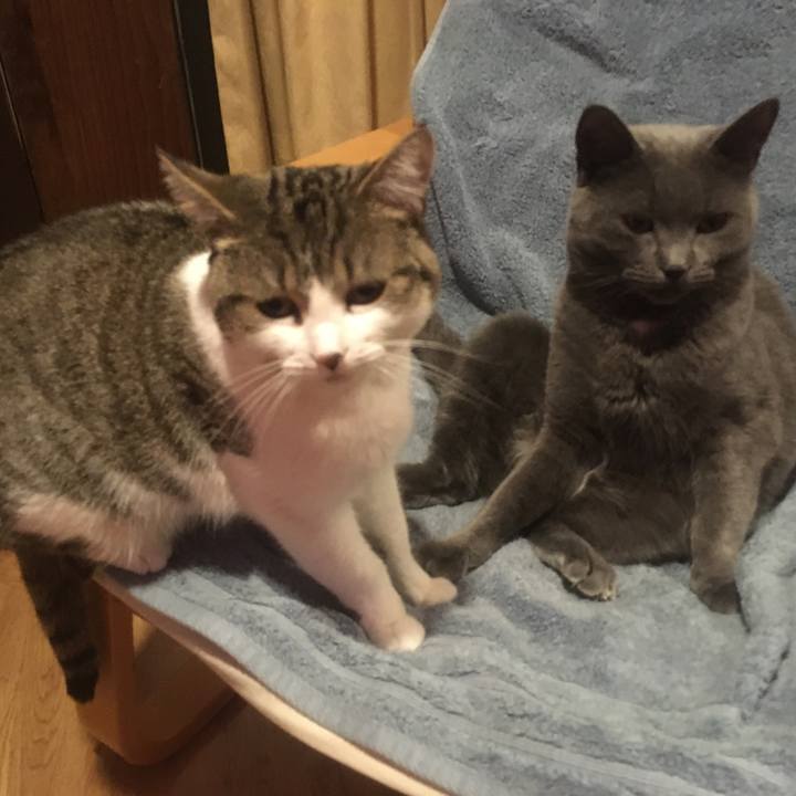 31e81829 13f8 4d54 bb40 16511efb1c5b 1633048655607