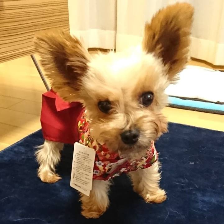 31e84f98 c1a8 4d97 bbaf 57bb67ab4d6e 1535034061816