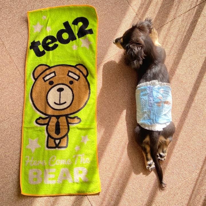 31e8ba43 f214 4c21 8344 6ca4544ec192 1668125864228