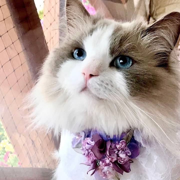 31e8d5de dc49 489a a35b c97e3943ad86 1622275822211