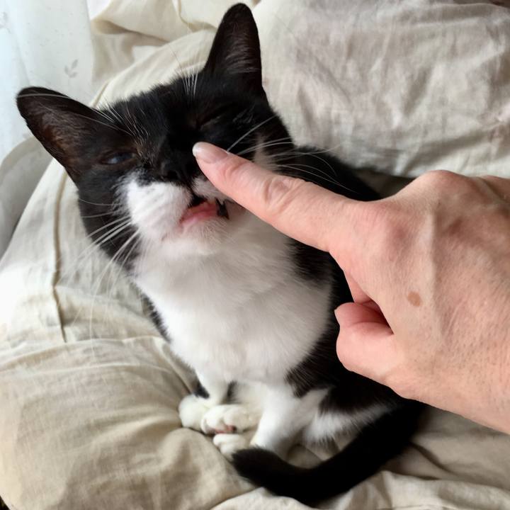 31e8dbc2 b965 4303 86fe b63bcee99984 1566368971362