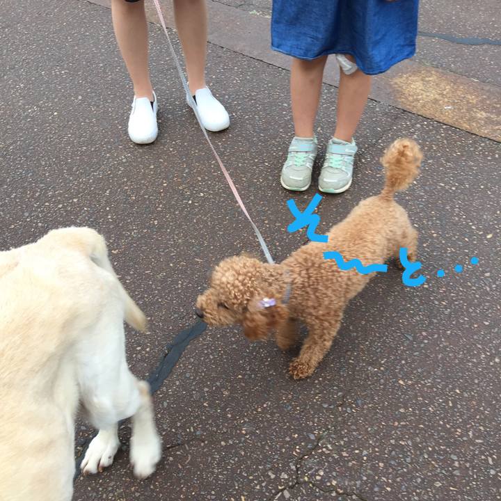 31e90a34 32de 4bf5 bf31 fc2d15e95916 1527587187014