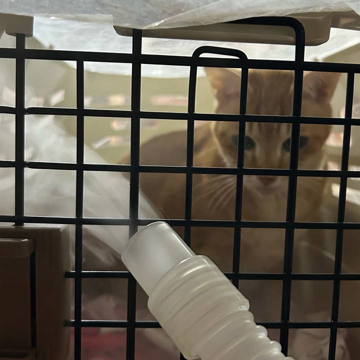 31e90d26 e816 478a a8c6 09188b2a41d7 1677583614342