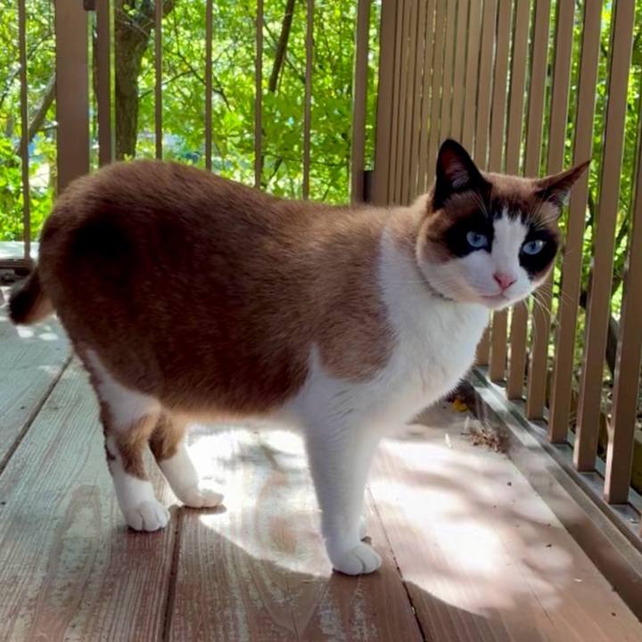 31e911e2 e6dd 4b95 9743 a265c3299fd4 1775564757348