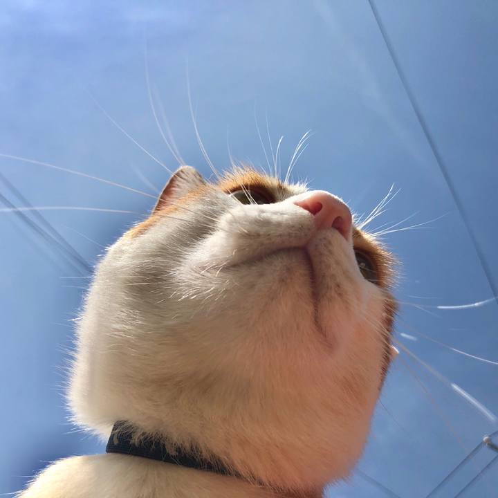 31e9127b 0e18 45b0 a0e7 f777487bf816 1558154784532