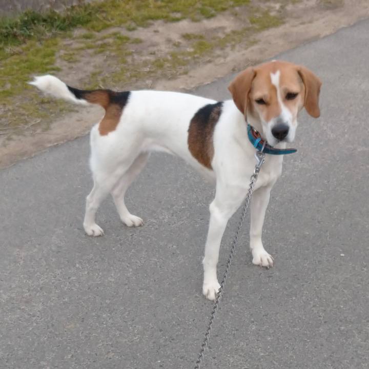 31e9352d f34d 48bb b7aa 9b833fe6da26 1613119384775