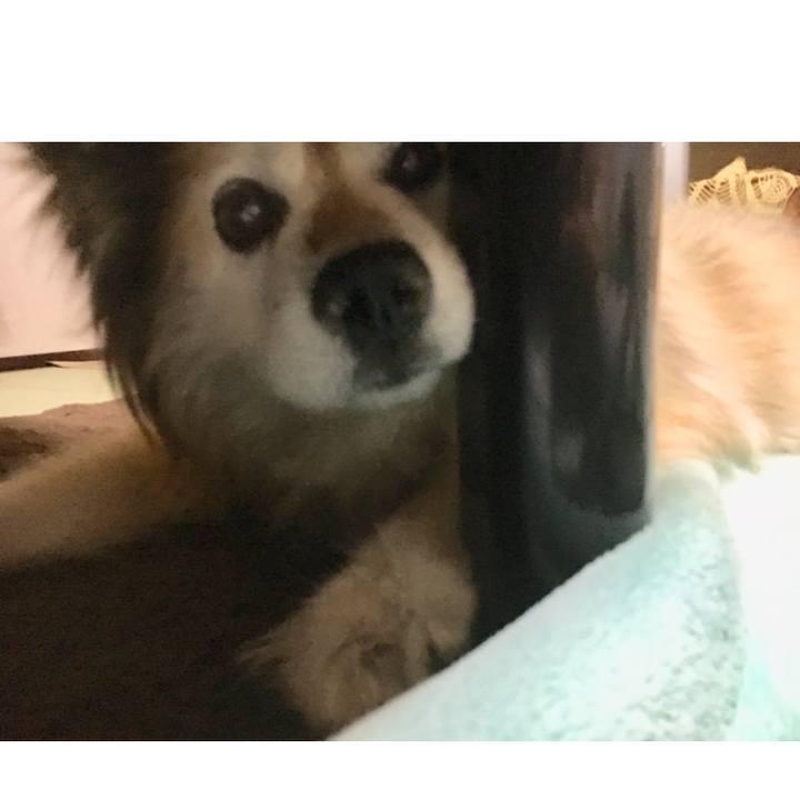 31e94ac0 5816 4e03 82f0 9c28844c3c0b 1555327148788