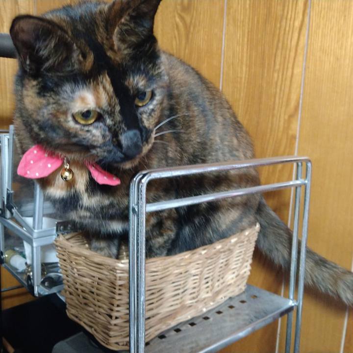 31e95812 7e44 4b1d 92f0 97b739797def 1637400592498