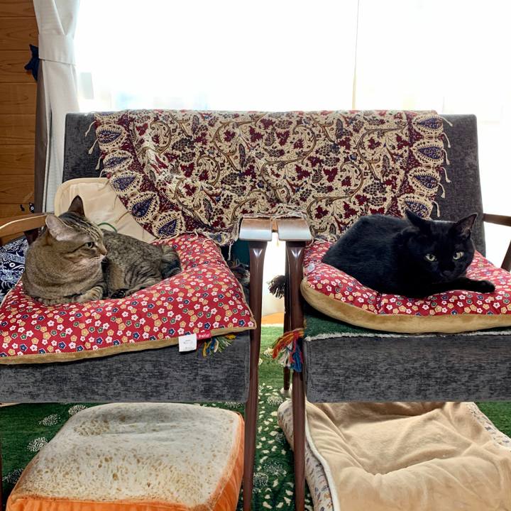 31e96b40 96ae 438d 964c e7048c07bac0 1602547421379