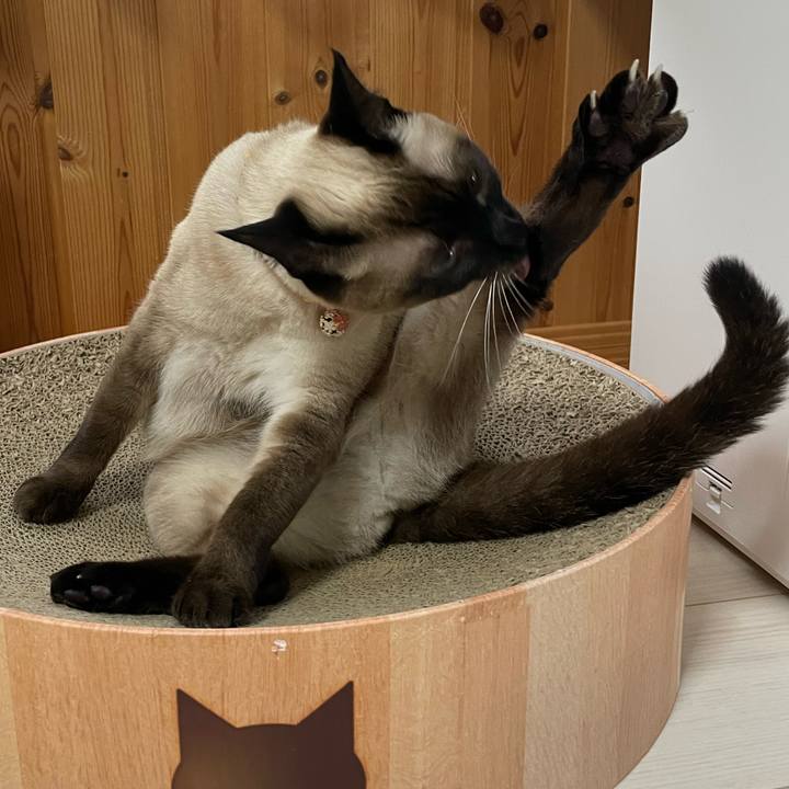 31e98810 320d 4f4f 8c09 b99a016dff3d 1721246429770