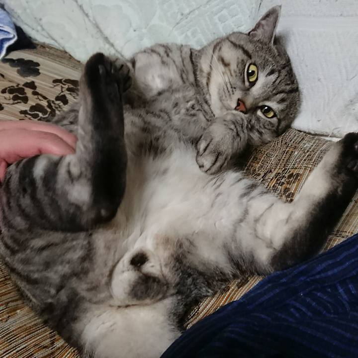 31e99c39 a68b 4e54 b487 d1968c809689 1515841363474