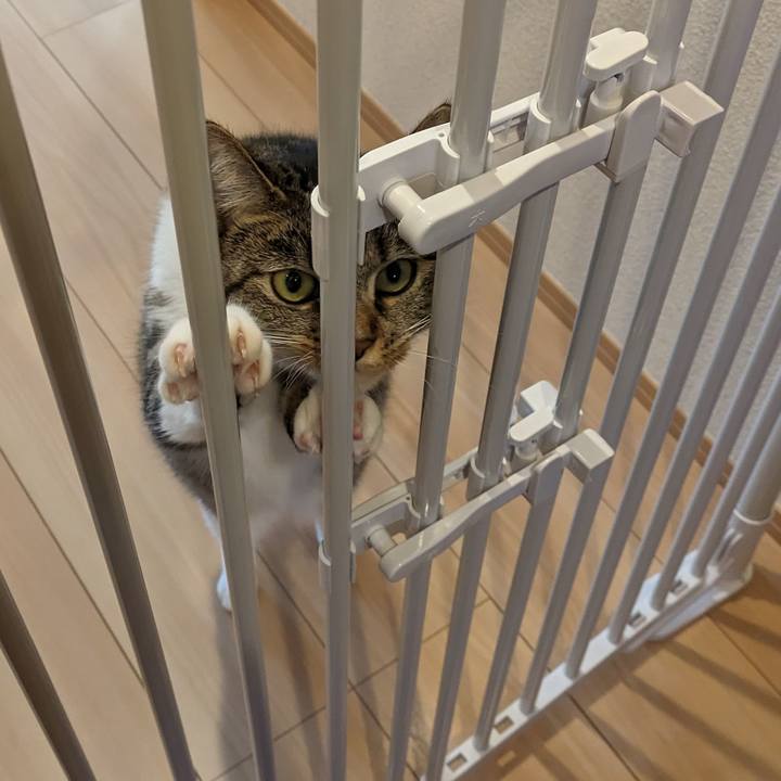 31e9ea0c 8015 4702 bd71 5ba6a3ff414f 1699486901607