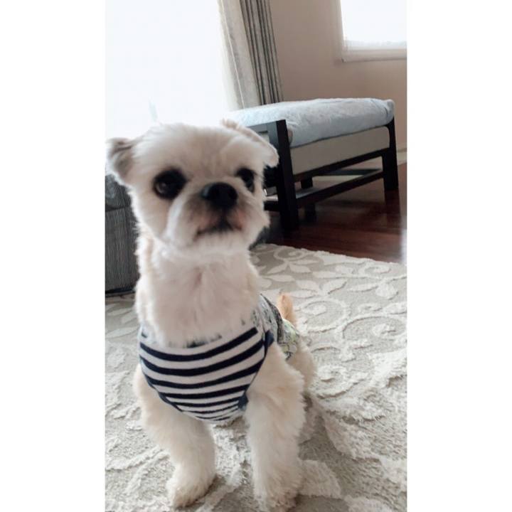 31e9ed34 8c24 4368 a764 a0b65050929b 1557227976214