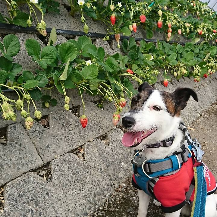 31ea2ec4 748c 4eda b60b 56ad192e780a 1519535016817