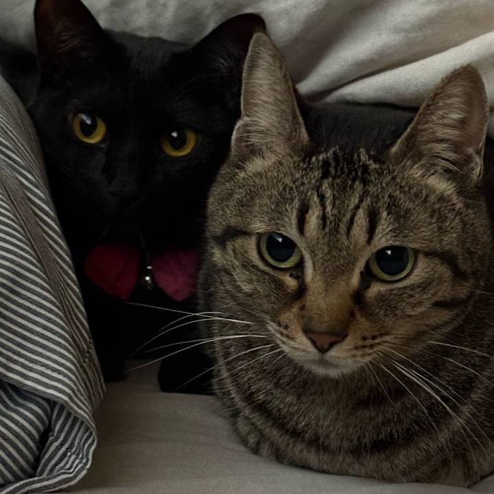 31ea3aea bf07 4b60 a613 e709d5fea572 1772769272791