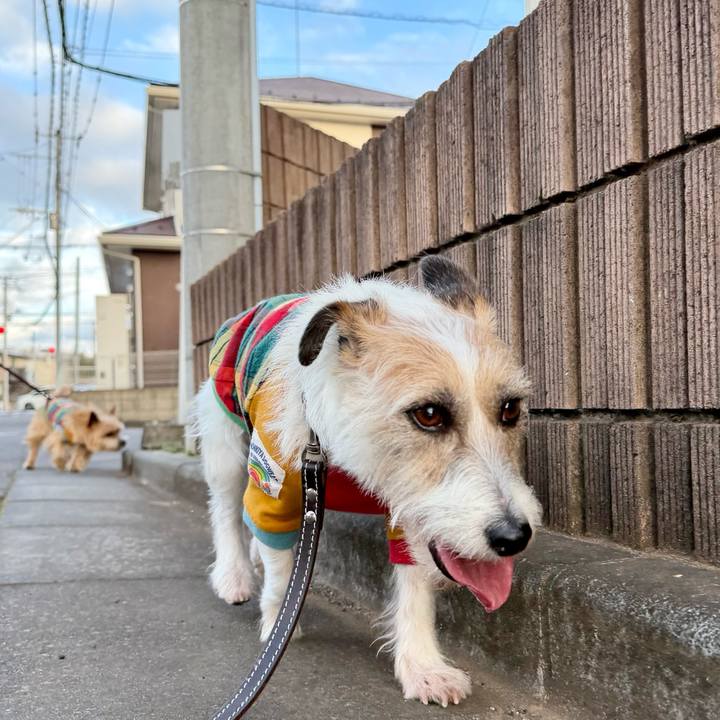 31ea6973 0fd9 4399 ae99 544f4e0a6c6f 1771678046871